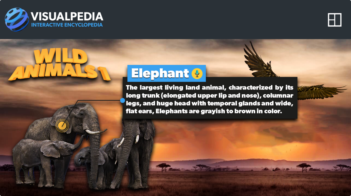 Wild animals featured topic banner showing elephants at sunset